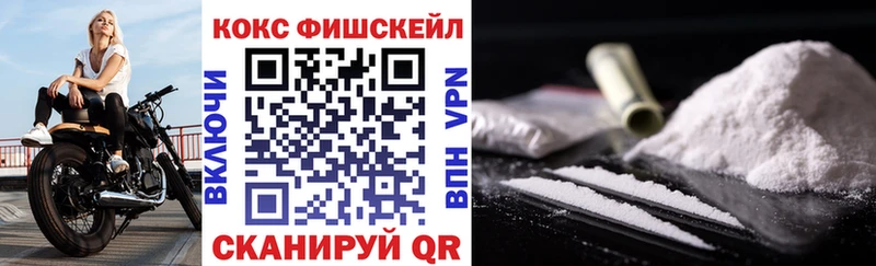 Cocaine Fish Scale где найти наркотики Володарск