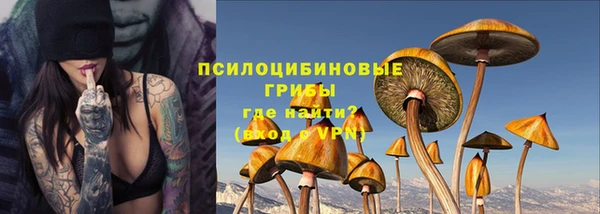 прущие крисы Белокуриха