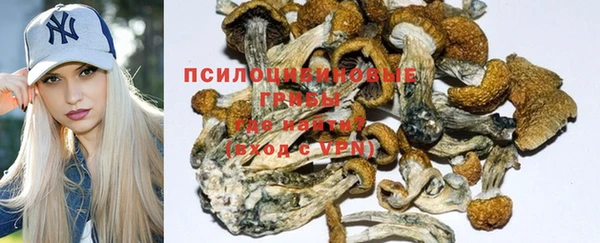 твердый Белоозёрский