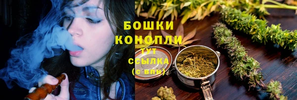 прущие крисы Белокуриха