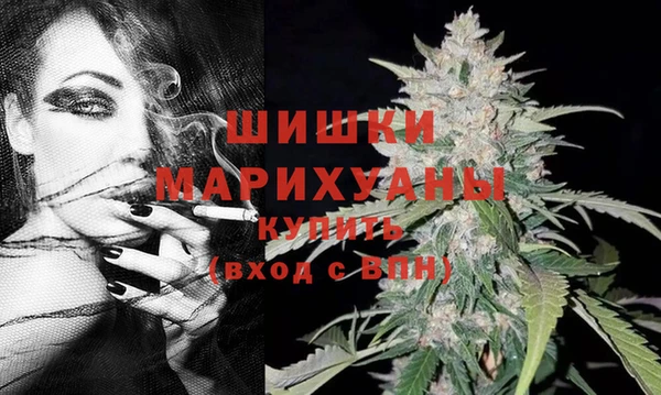 прущие крисы Белокуриха