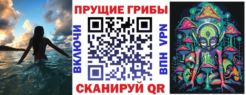 Псилоцибиновые грибы мухоморы  omg маркетплейс  Володарск  где купить  